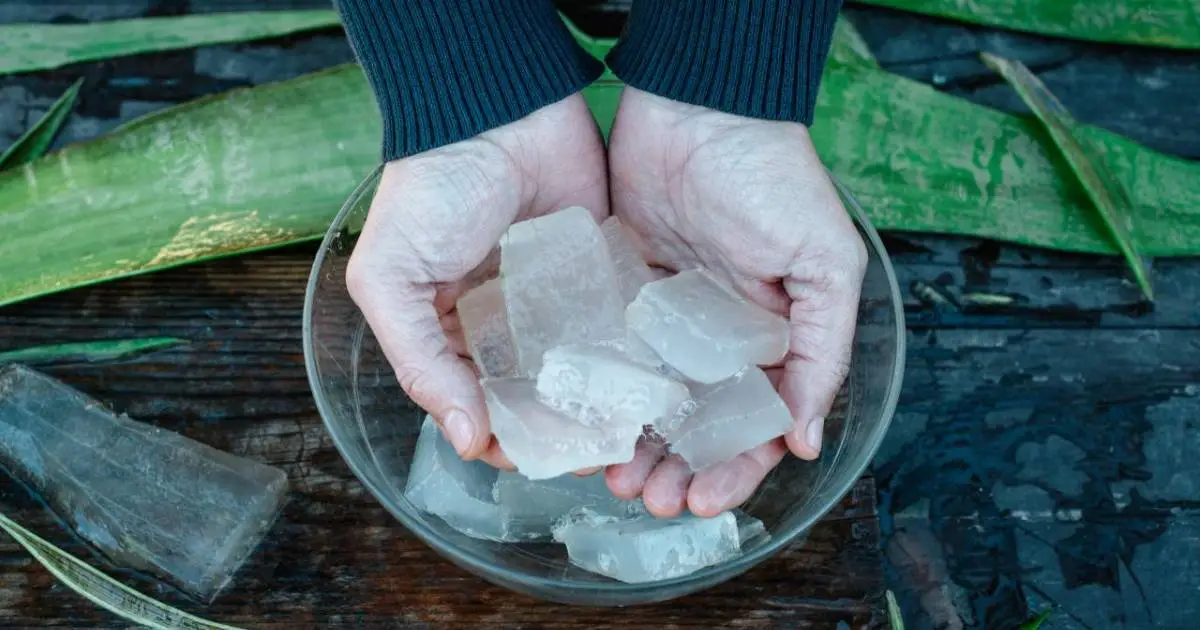 Aloe-Vera Aloe vera helps reduces frizz