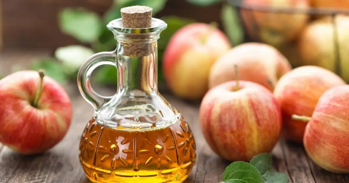 Apple-Cider-Vineger Apple cider vinegar smoothens the cuticles and reduces frizz.