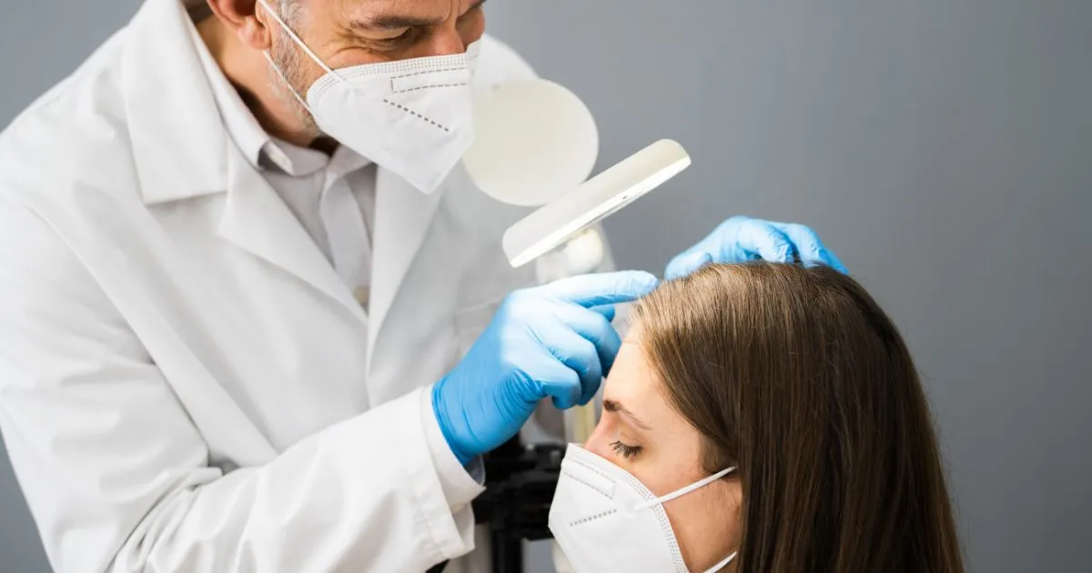 Dermatologist doctor checking woman hair for oily dandruff Dermatologist doctor checking woman hair for oily dandruff