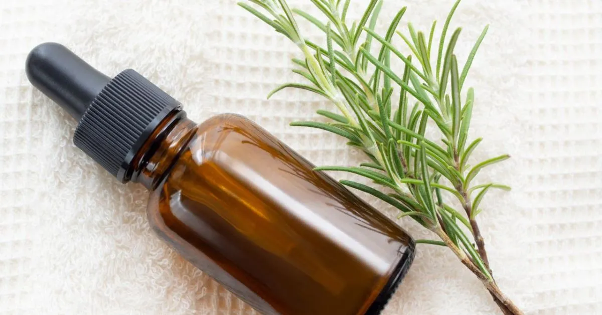 Feature image for blog post best organic rosemary oils for hair growth displaying bottle of essential oil with fresh rosemary