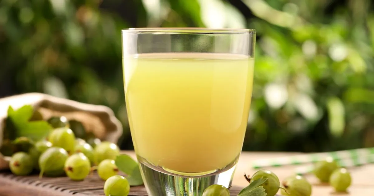 Featured image for Benefits of Amla Juice for Hair- Tasty Indian Gooseberry Juice and Fresh Berries on Table