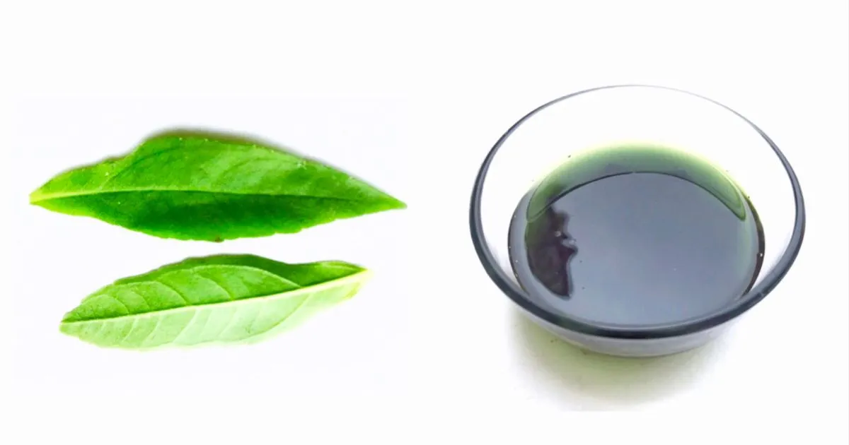 Mahabhringraj Oil for Hair: A Natural Solution Featured image for Mahabhringraj Oil for Hair- Bhringraj leaves and bhringraj oil