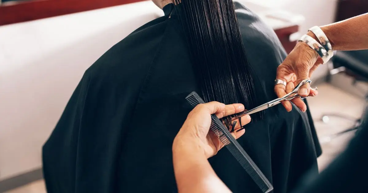 Hairdresser Trimming a Womans Hair Hairdresser Trimming a Womans Hair