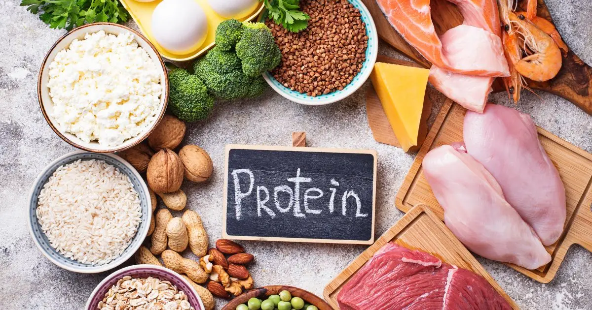 Healthy food high in protein Healthy food high in protein