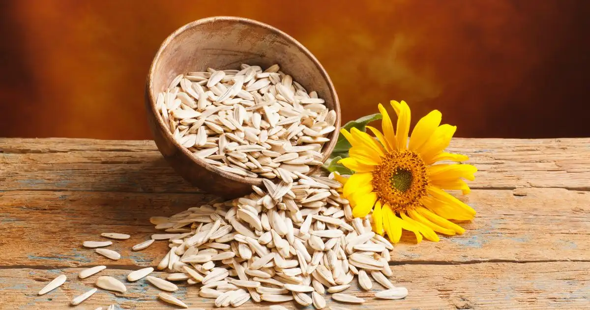 Sunflower Seeds Sunflower Seeds